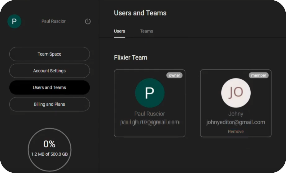 A screenshot showing the available team collaboration options from the Flixier app. 